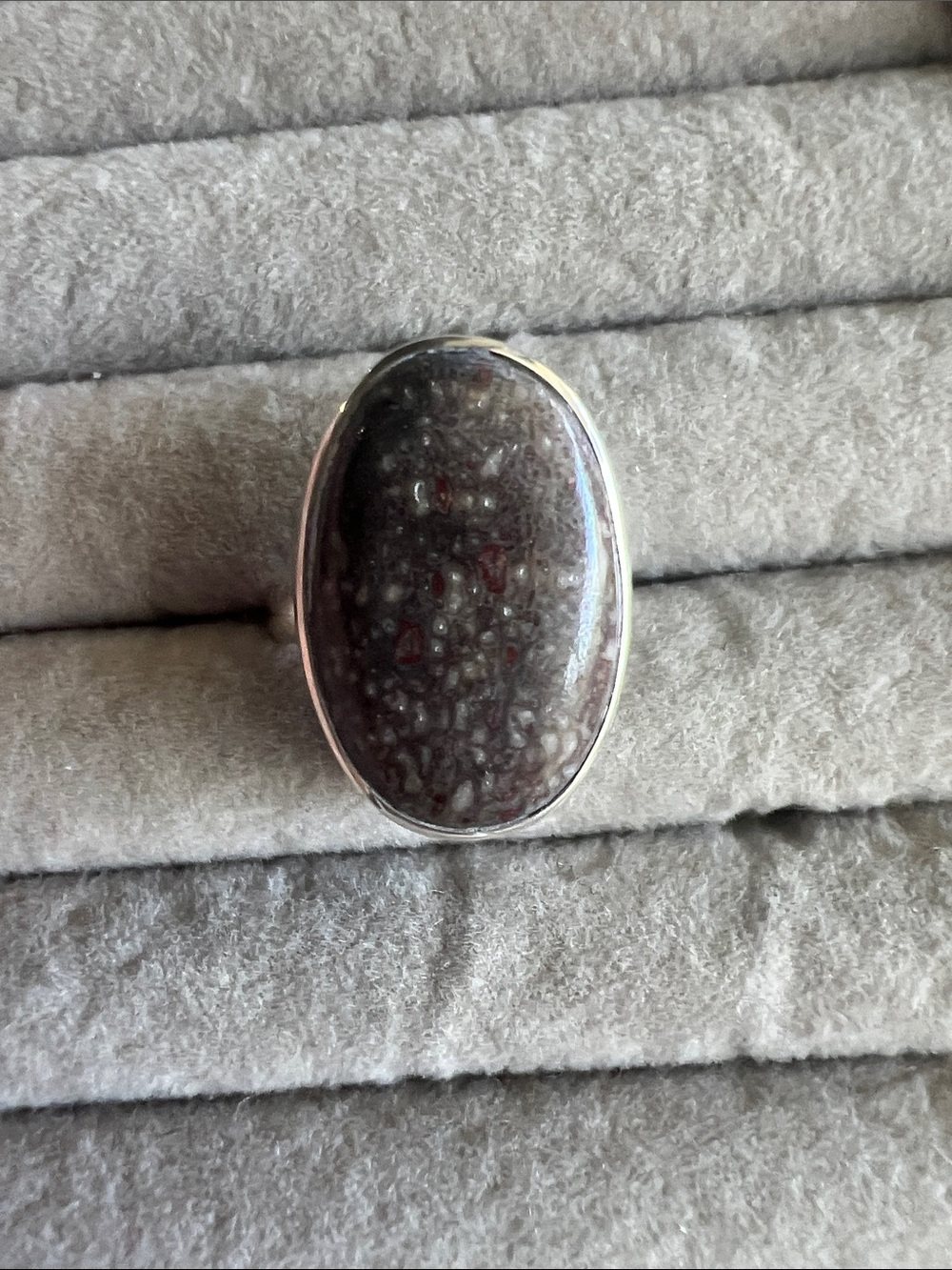 Oval Dinosaur Bone Stone Silver Ring - Women Jewelry